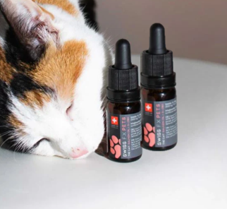 Swiss FX 2 x CBD Öl für Katze - Sparpaket!