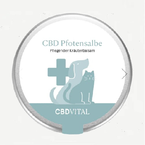 CBD Pfotensalbe