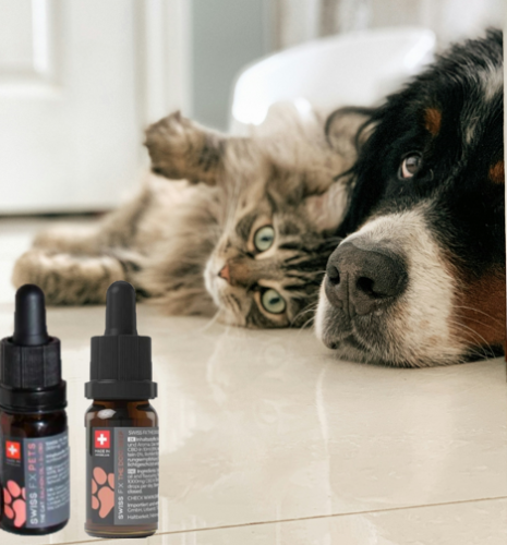 Swiss FX CBD Öl Hund 10% + Katze 3% - Mix Angebot