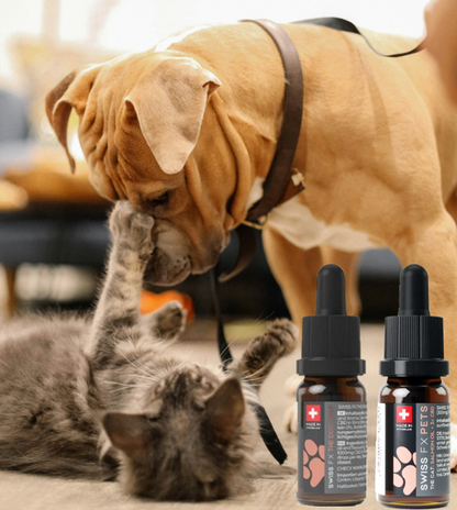 Swiss FX CBD Öl Hund 10% + Katze 3% - Mix Angebot