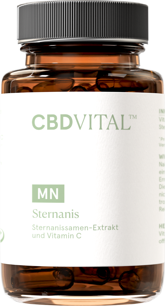 Sternanis