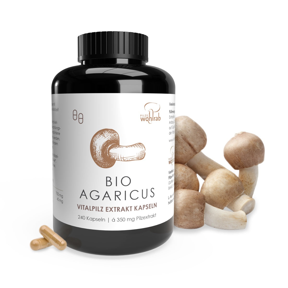 Agaricus blazei - ABM - Mandelpilz