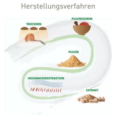 BIO Agaricus blazei Pulver für Tiere