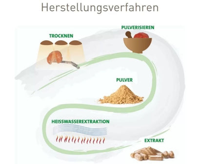 BIO Shiitake Pulver für Tiere