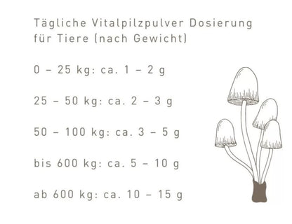 BIO Shiitake Pulver für Tiere