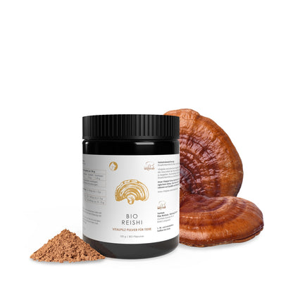 BIO Reishi Pulver für Tiere