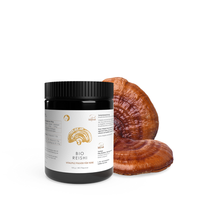 BIO Reishi Pulver für Tiere