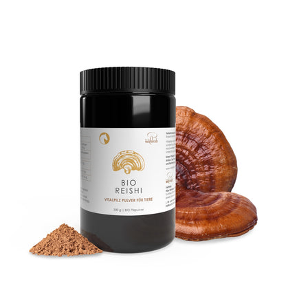 BIO Reishi Pulver für Tiere