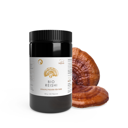 BIO Reishi Pulver für Tiere