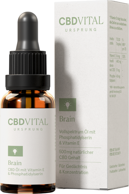 CBD Ursprung BRAIN
