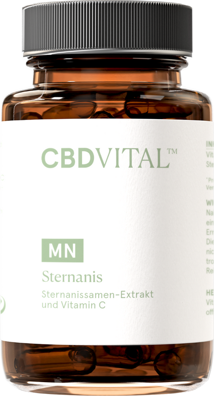 Sternanis
