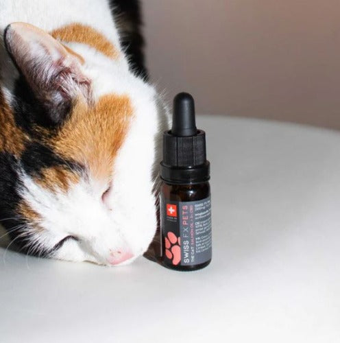 CBD Öl für Katze Swiss FX